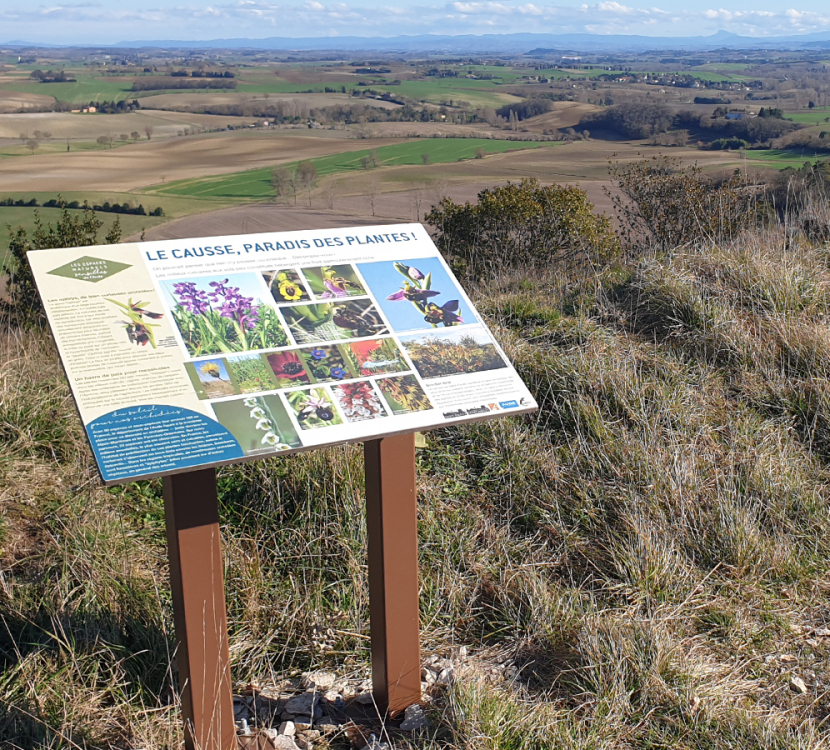 st-paulet-lauragais-rando-panneau-nature-cr-vincent-dumeunier st-paulet-lauragais-rando-panneau-nature-cr-vincent-dumeunier