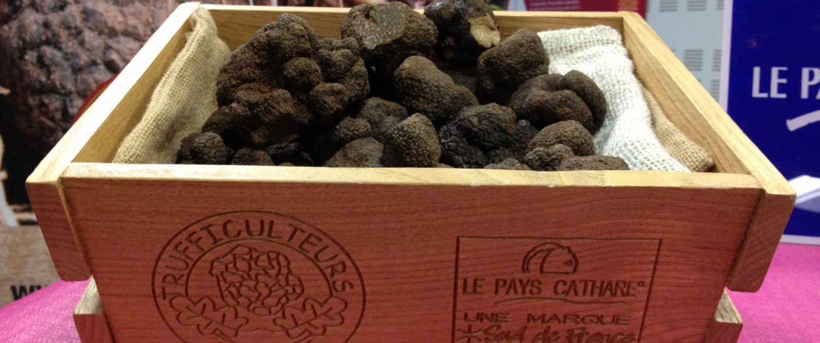 terroir truffe cr yann galy