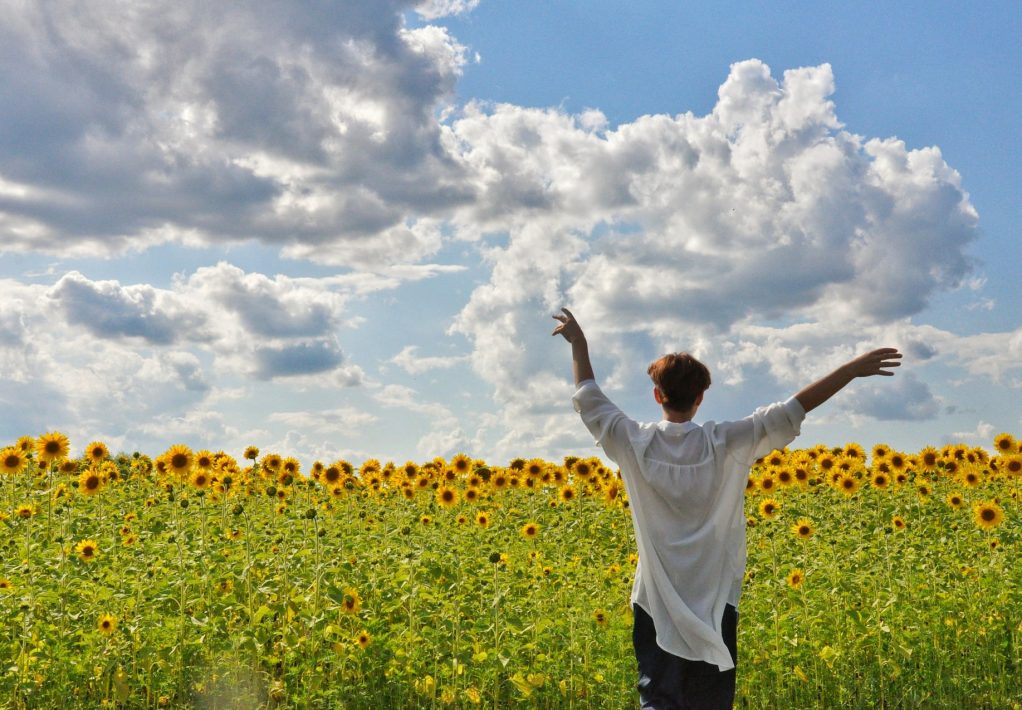 Balade dans les champs de Tournesols dans le Lauragais