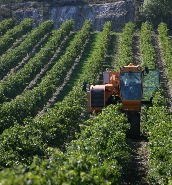 Travail dans les vignes ©Pierre Davy-ADT de l'Aude