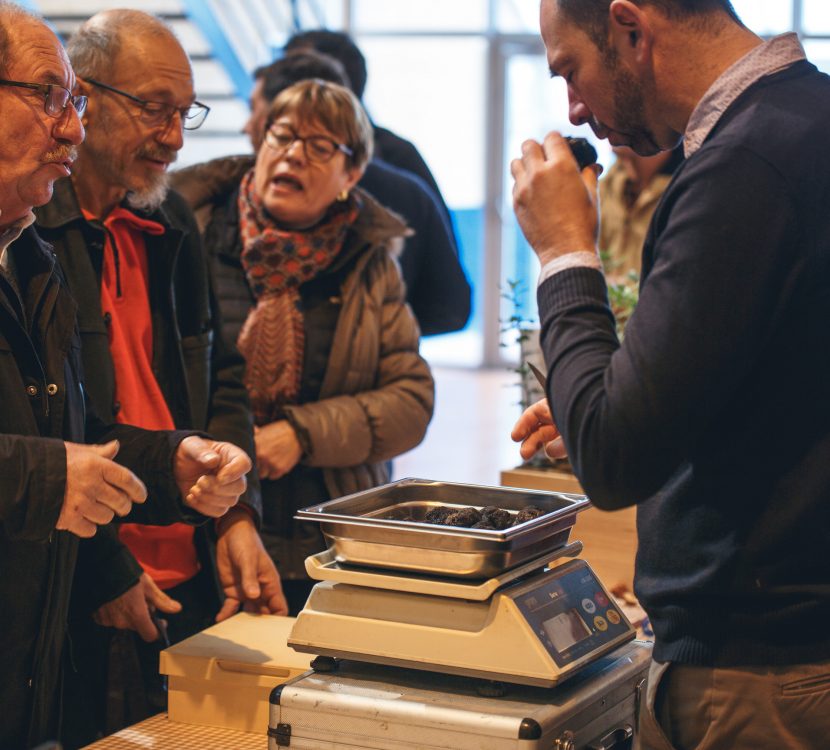villeneuve-minervois-2019-01-marche-truffe-pesee-cr-vincent-photographie-adt-aude-01 villeneuve-minervois-2019-01-marche-truffe-pesee-cr-vincent-photographie-adt-aude-01