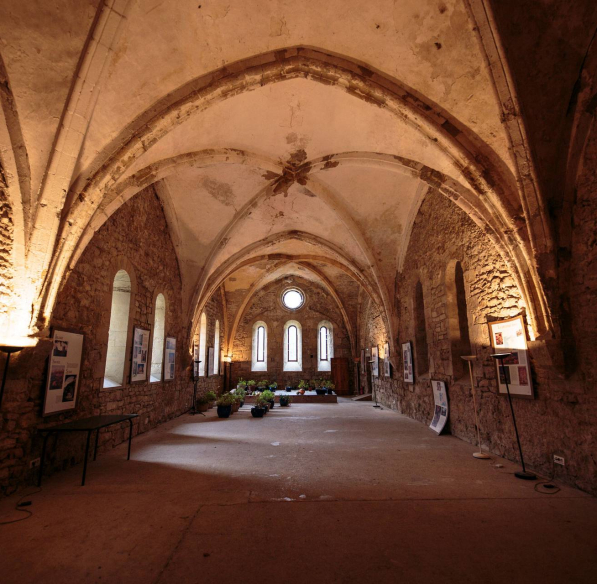 Visite de l'Abbaye Villelongue ©Vincent Photographie