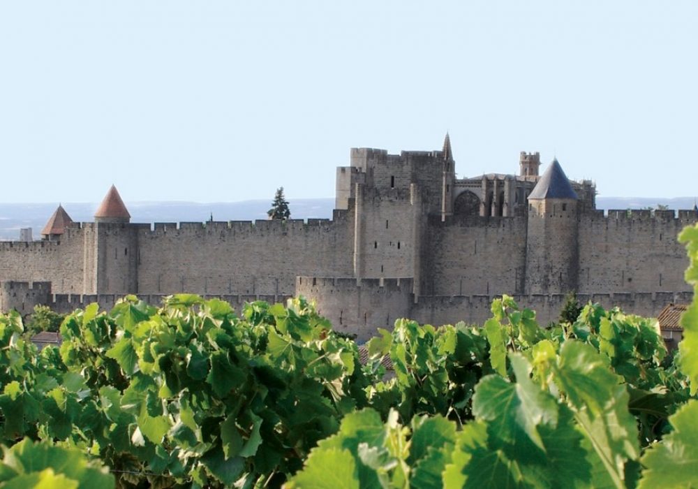 Vue sur la Cité de Carcassonne depuis les vignes ©Mairie de Carcassonne